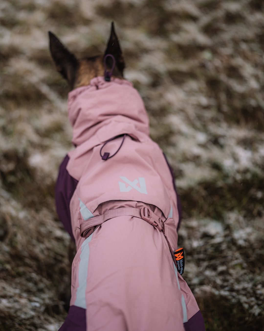 Glacier 3.0 dog jacket